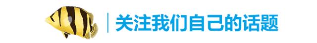 如何选择合适的鱼缸,如何选择一款适合自己的鱼缸