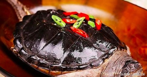 杭州男子钓10斤重鱼,浙江杭州男子钓到近70斤重大鱼