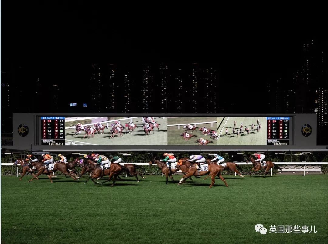 靠赌马赚了10亿美金，这个人最近终于浮出了水面……