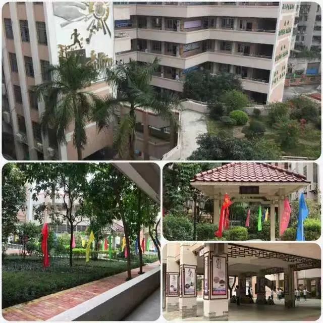 真光中学汾水校区是不是全市招生,广州真光中学汾水校区好吗