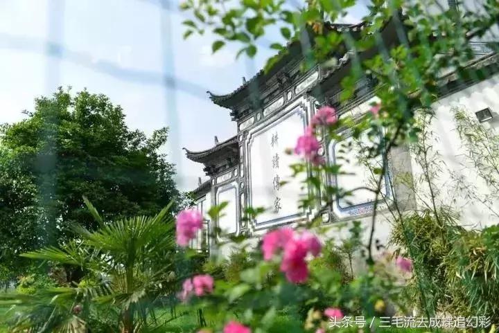 大理5月有什么玩的吃的,五月中旬大理适合旅游吗