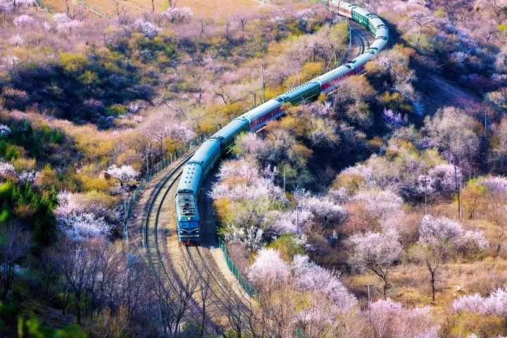 绱㈠凹鍏ラ棬鐩告満鎺ㄨ崘,绱㈠凹鍗曞弽鐩告満鍏ラ棬鏁欑▼