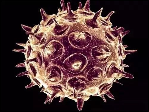 总有人觉得你腰缠万贯,总有人认为你腰缠万贯