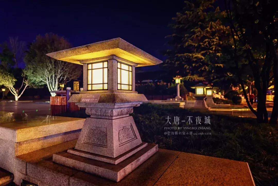 妖猫传电影中最美的片段,电影妖猫传长安的图片