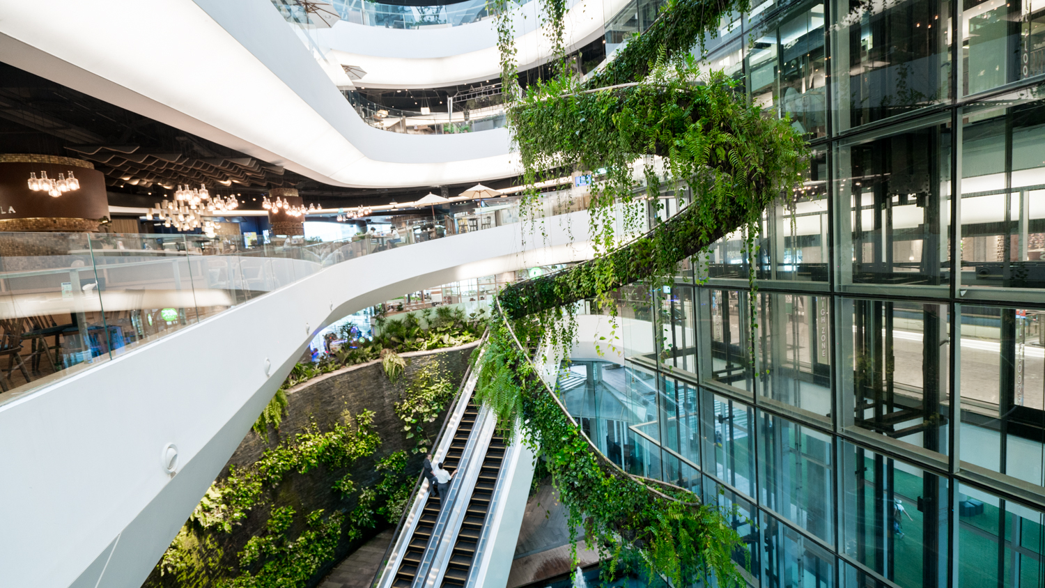 泰国旅游曼谷清迈攻略,泰国清迈的旅游攻略