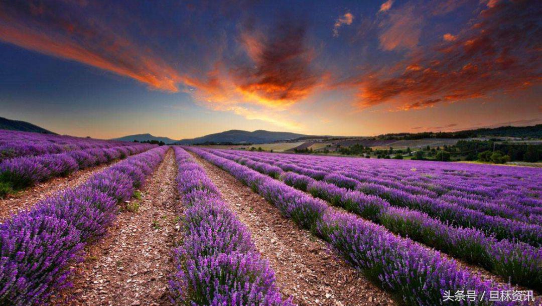 上海人均身价是多少,上海人均身价