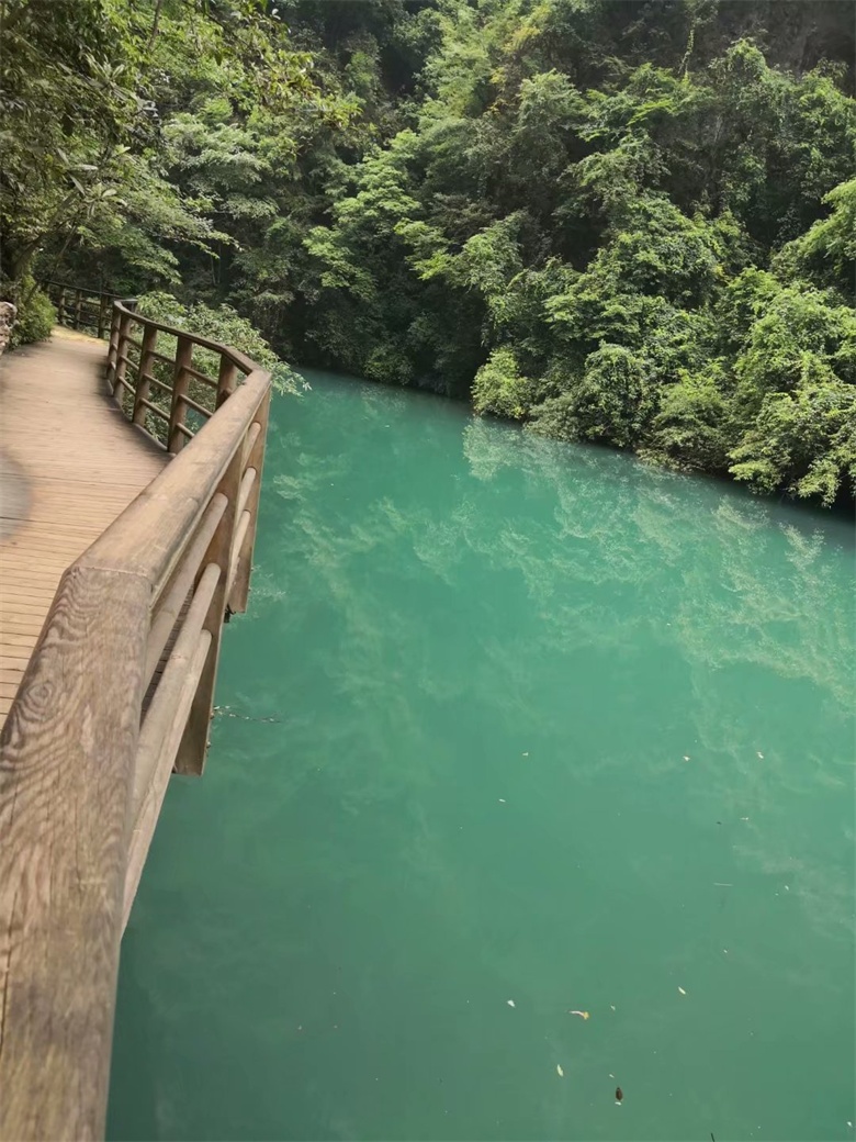 香港人组团游张家界,姐妹相约张家界三日游
