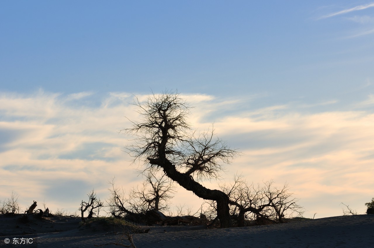 柏拉图理念的认识与理解,柏拉图理念论的通俗理解