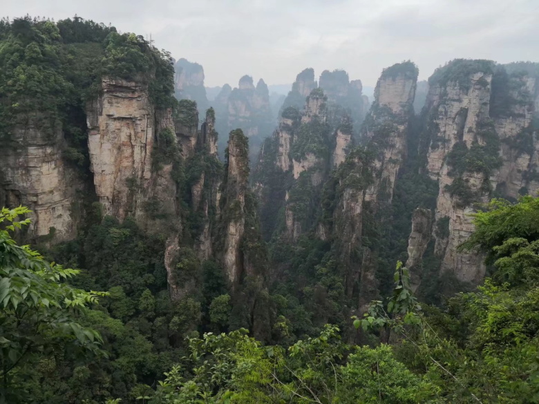 香港人组团游张家界,姐妹相约张家界三日游