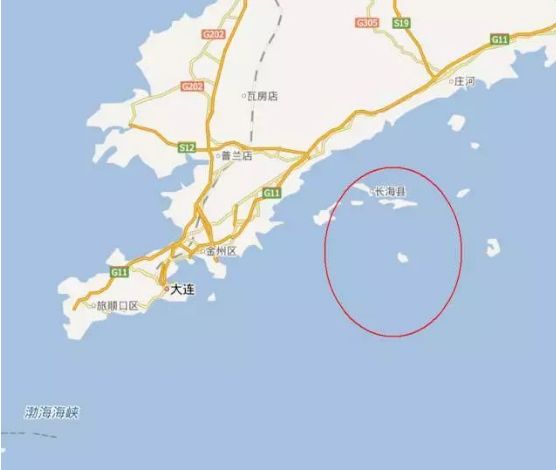 揭秘海参内幕,海参市场的真实现状