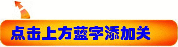 自由泳技术类型,自由泳技术解析