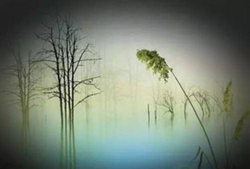 如何用裸k判断顶部和底部,如何简单判断市场趋势走向