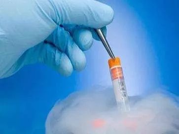 林志玲冻卵子有用吗,徐静蕾冻卵能生孩子吗