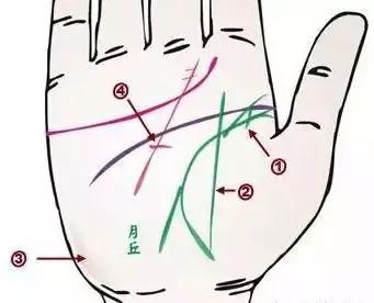 手诊了解一个人的性格和健康,十个最简单的手诊图