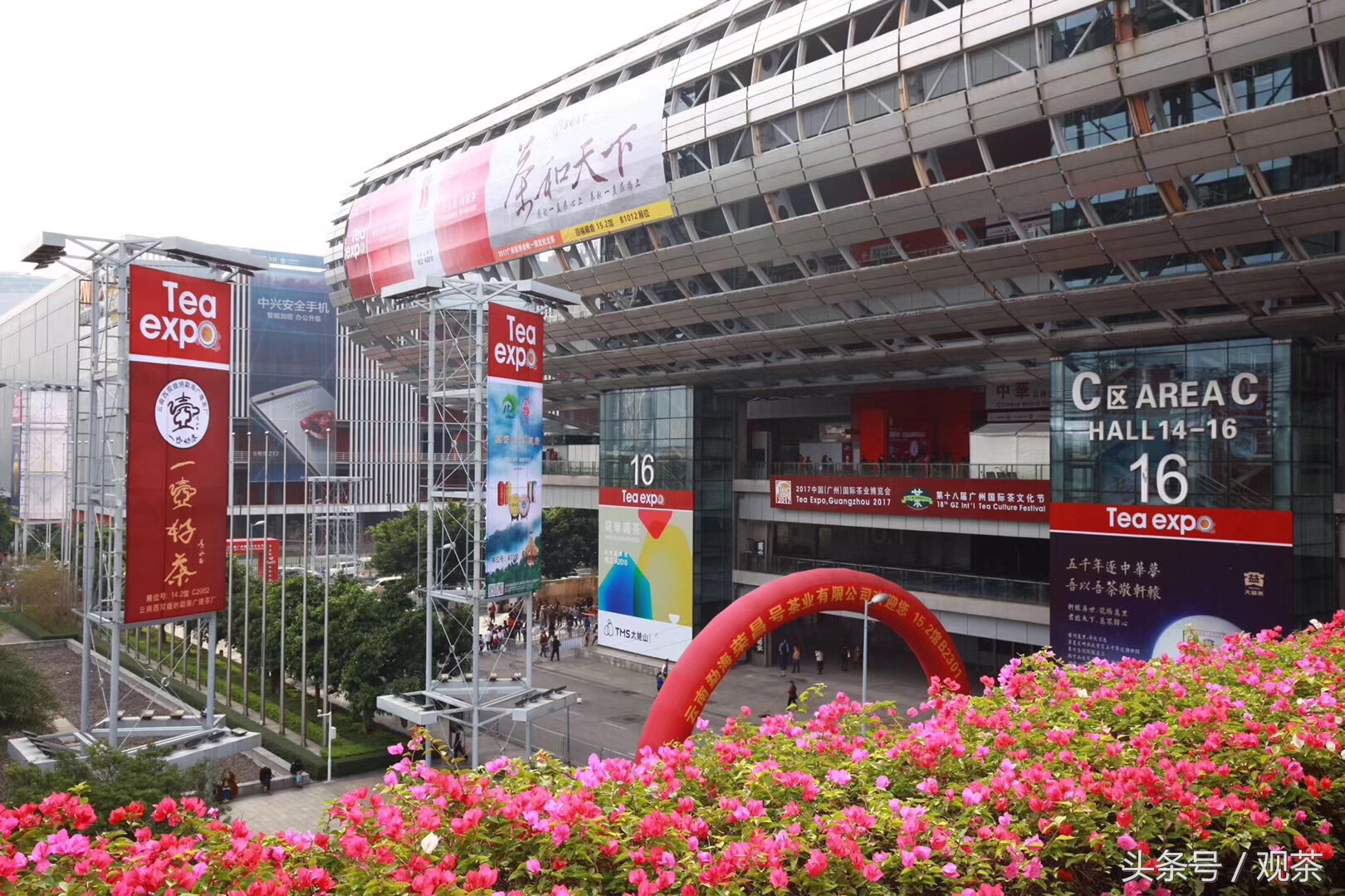 在这里，有春天最美的茶滋味