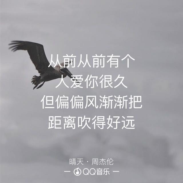 杰伦胸肌是什么样子的,杰伦胸肌是什么样子