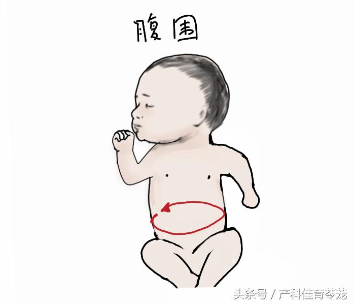 如何看懂乳腺超声检查报告,怎么能让临床医生看懂超声报告