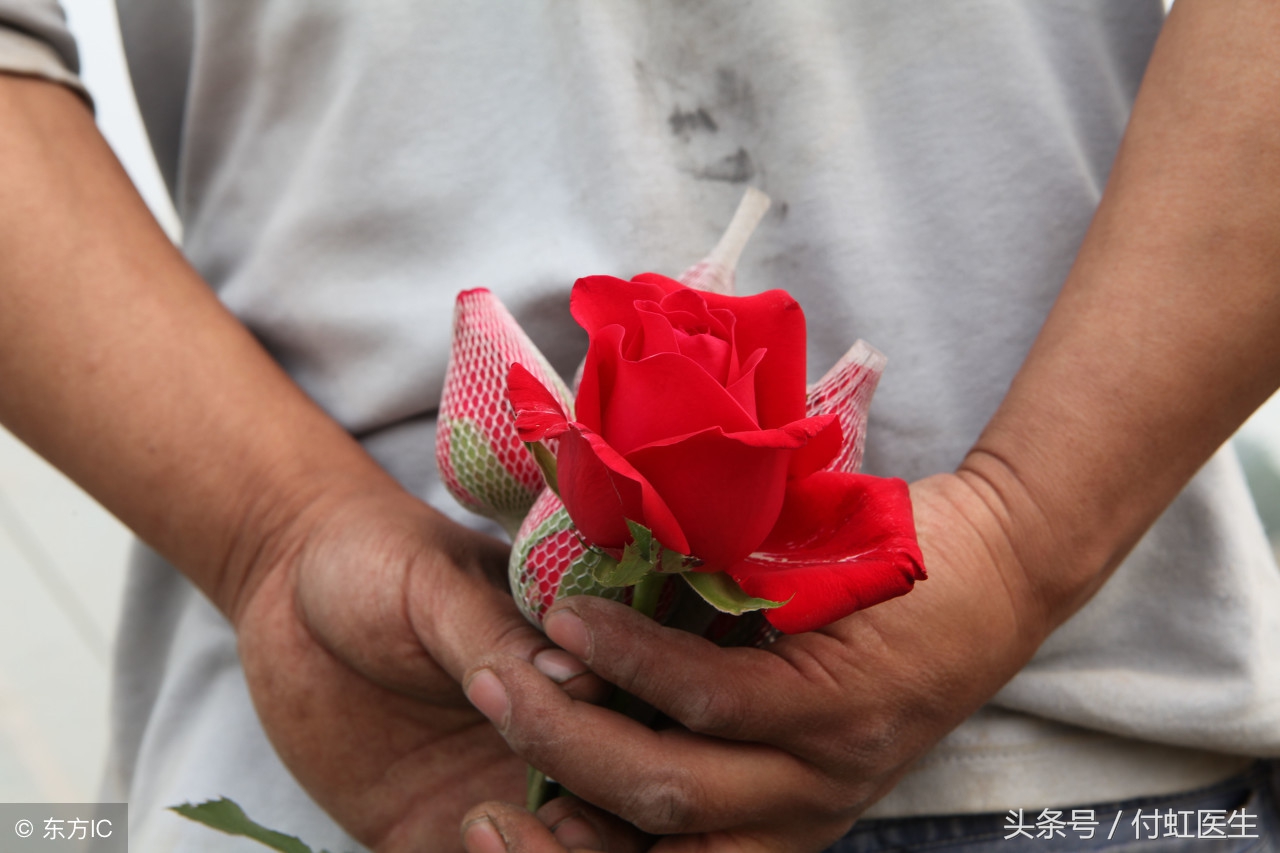 知道对方是乙肝大部分人选择分手,乙肝病毒携带者会传染给女朋友吗