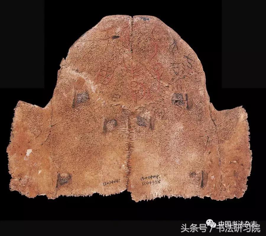 甲骨文书法名家作品欣赏,中国书法甲骨文视频大全