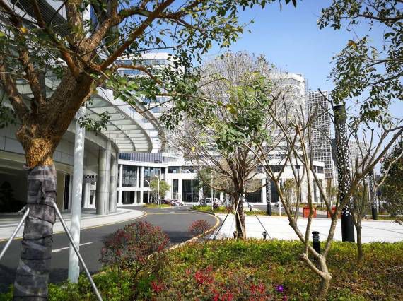 深大总医院和南方科技大学医院,深大总医院和深圳北大医院哪个好