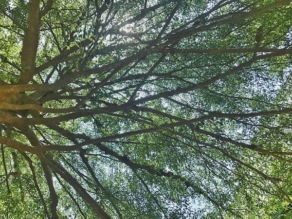 2024泰国泼水节攻略,2022年的泰国芭提雅泼水节