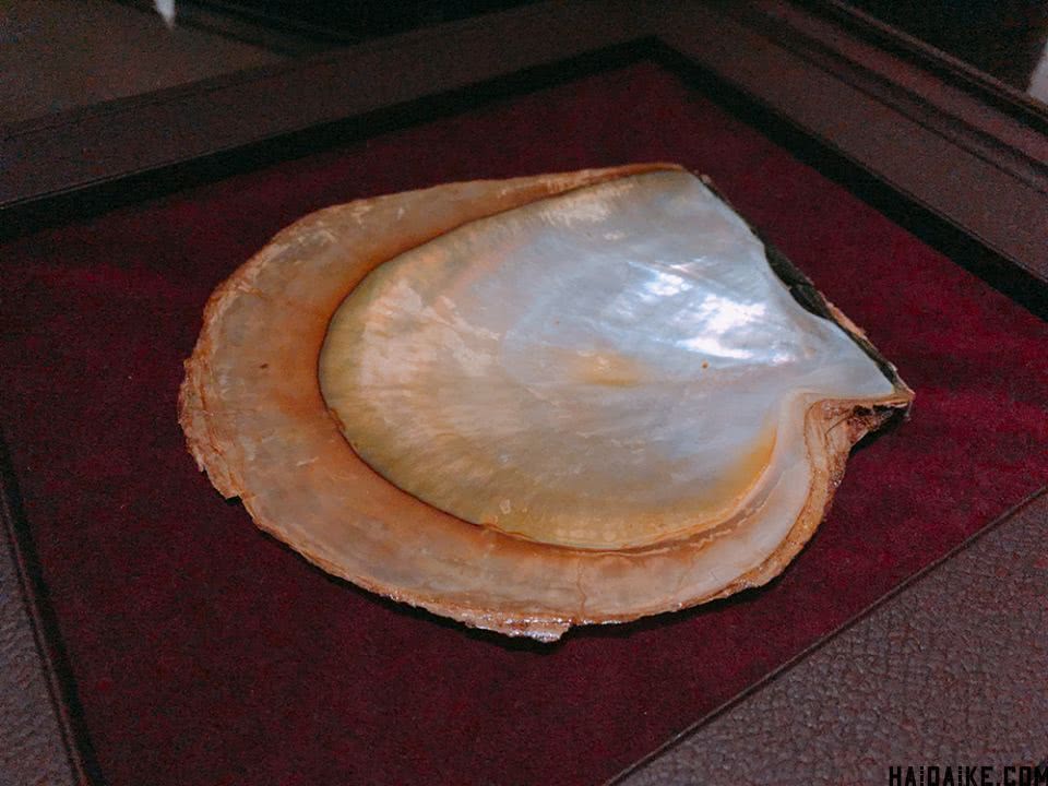 日本珍珠mikimoto项链,mikimoto珍珠项链值得入手款