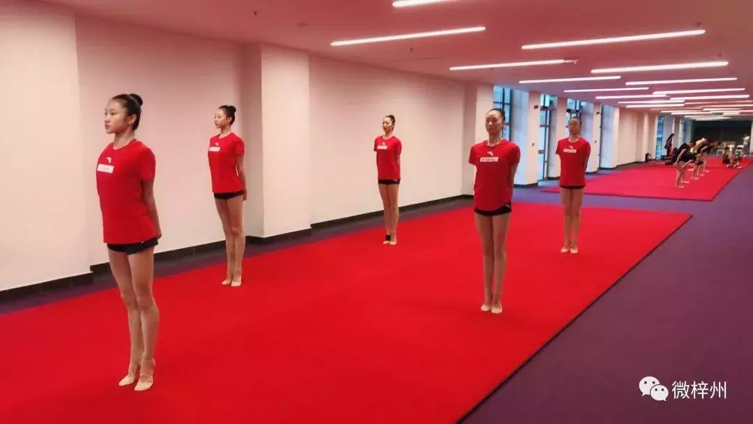 三台文武学校世界冠军,三台跳水冠军