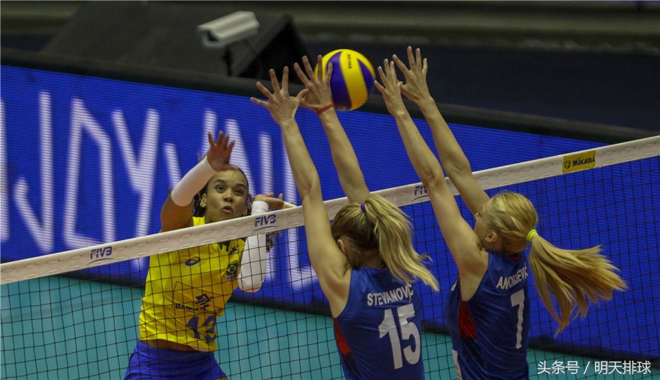 世界女排联赛巴西vs泰国战果,世界女排联赛巴西vs塞尔维亚