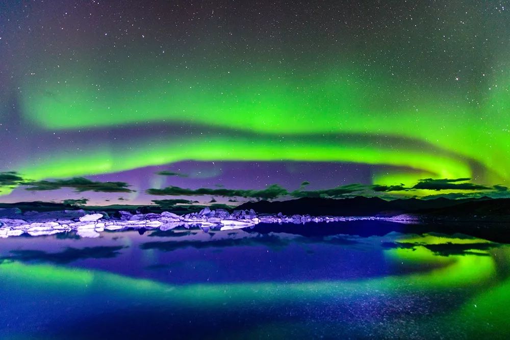 大个头大智慧,大脑门子大智慧