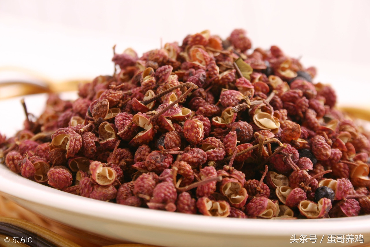 鸡蛔虫绦虫用什么药,养鸡身上有寄生虫和螨虫怎么治