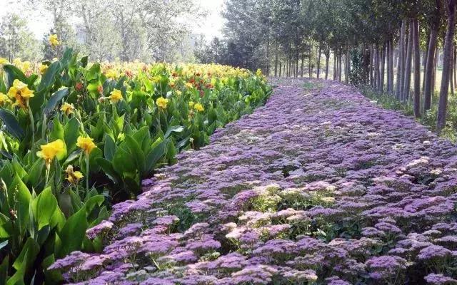 海南共享农庄批几个村庄,海南2019年首批共享农庄