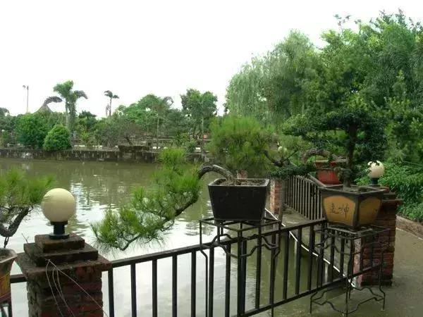 海南共享农庄批几个村庄,海南2019年首批共享农庄