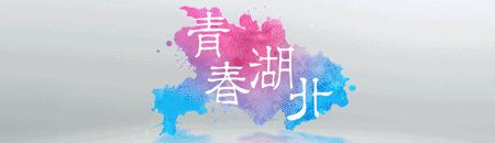 世界杯竞猜彩票风波,彩票软件停售世界杯