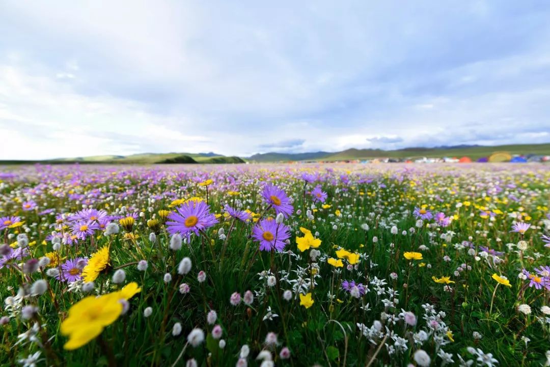 连绵的群山、广袤的草原、蜿蜒的河流……它就是独一无二的若尔盖