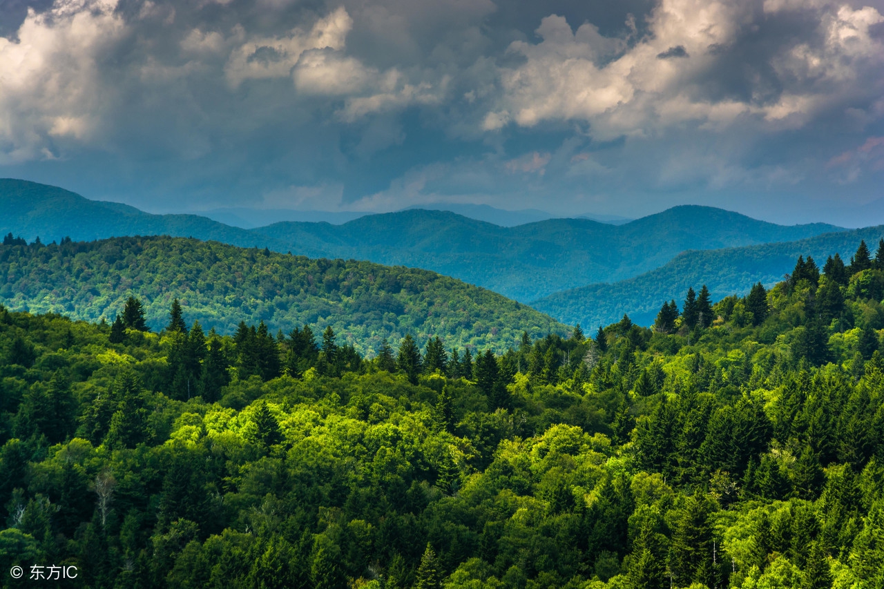美国红橡地板价格多少,美国红橡原木地板铺贴效果图大全