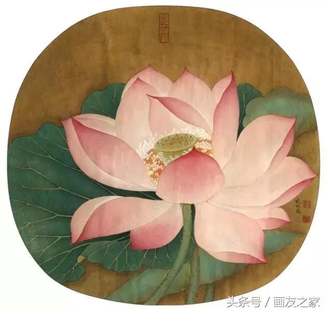 图文教程丨李晓明《出水芙蓉图》绘制步骤（含详细文字解析）