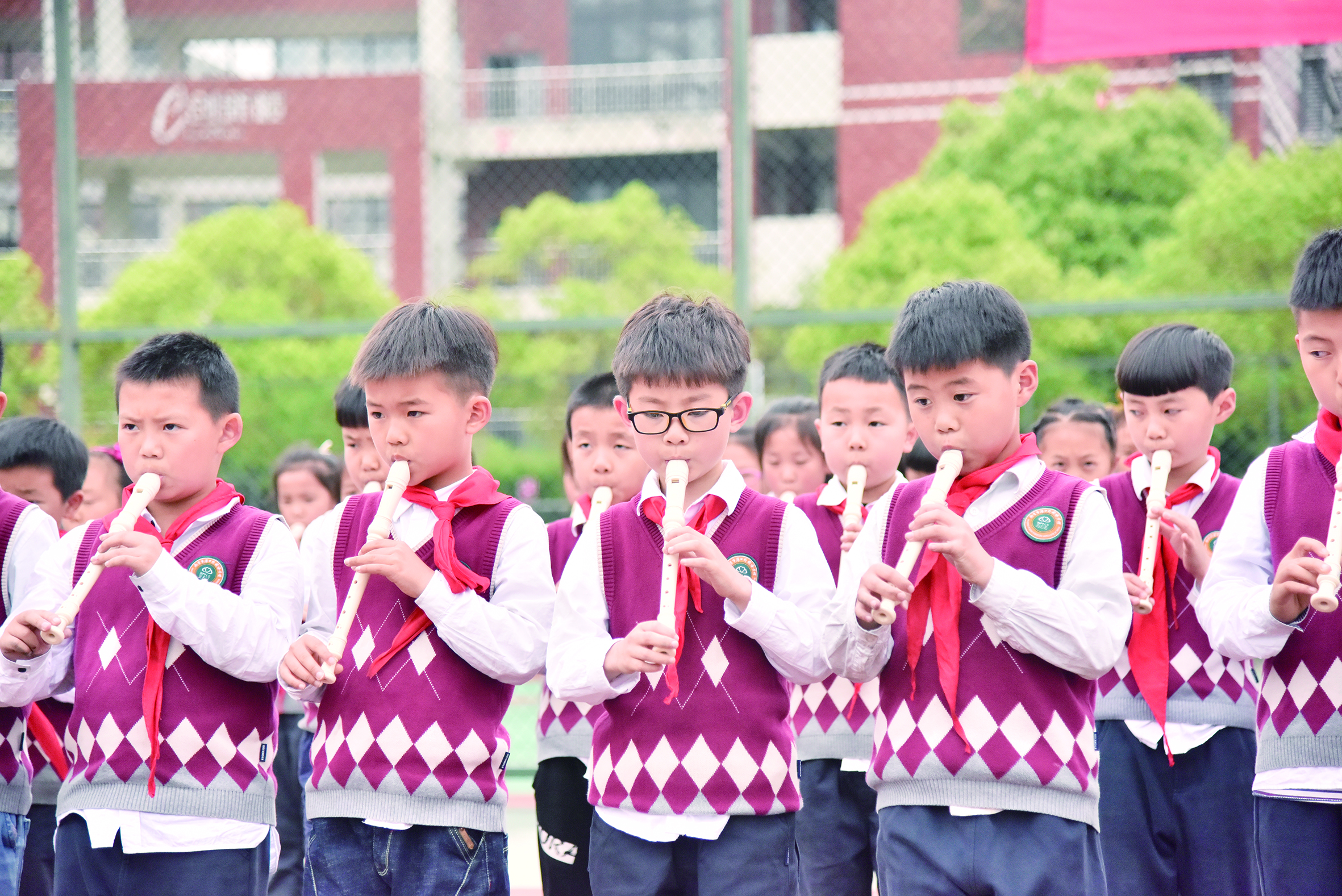 南京浦口外国语学校排名,成就一所好的大学需要什么
