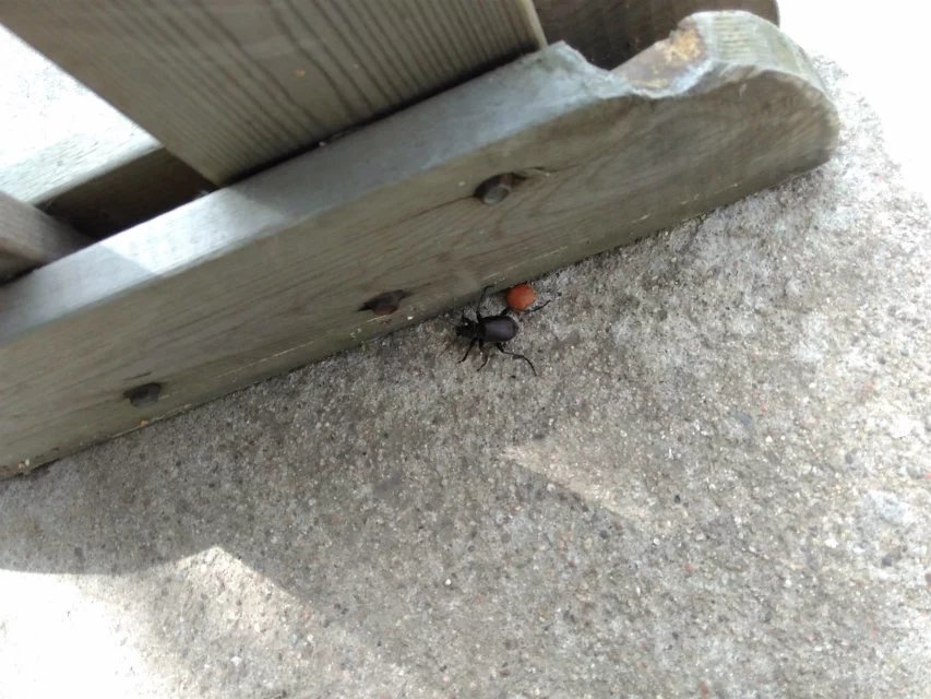 抚顺猴石公园旅游攻略有哪些,抚顺新宾猴石森林公园天气预报