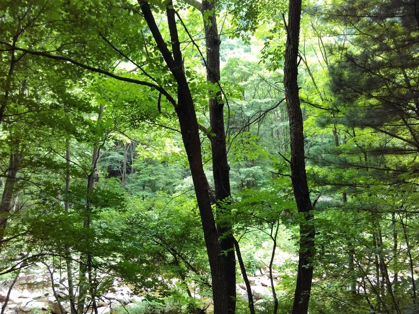 抚顺猴石公园旅游攻略有哪些,抚顺新宾猴石森林公园天气预报