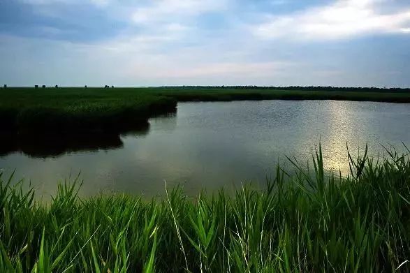 中国旅游日邯郸免门票景点,邯郸景区免费一日游