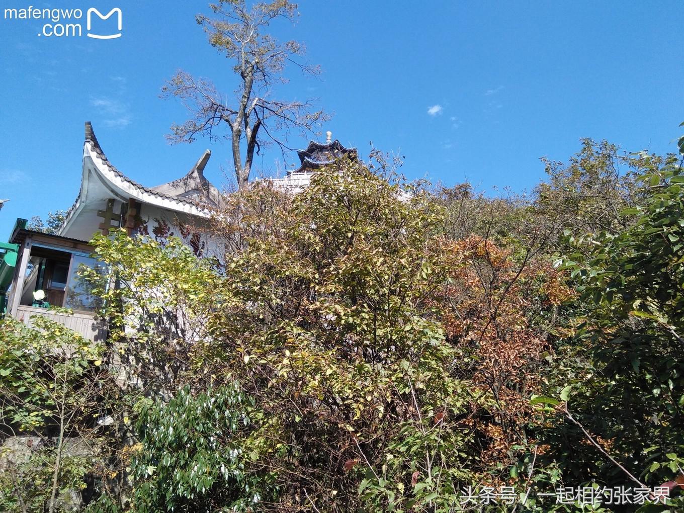 张家界机场到天门山自由行攻略,张家界天门山一日游攻略省钱