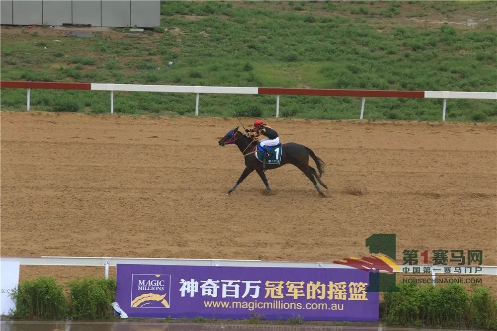 「现场」玉龙今日开锣赛，各路诸侯鏖战百万奖金！马主李勇夺最高奖金，“吉祥如意”马主王福军首战载誉归——1赛马网