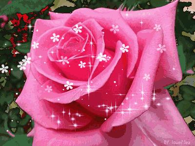 520即将来临祝你幸福快乐,今天是520祝你幸福快乐图片