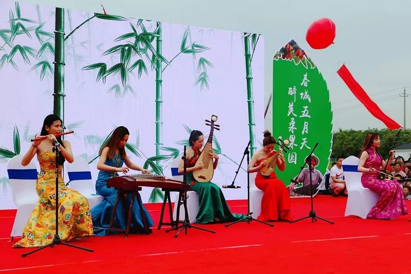 AreYouReady~~~第六届桑果紫酒节火爆来袭！采桑葚，赏演出，如此“葚”好！