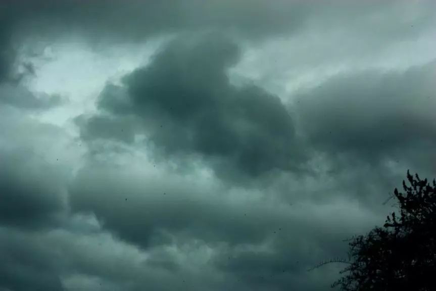 围观奇云社长的长相，都是泼墨给弄的！