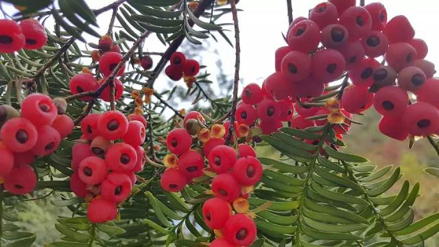 寻找中国最美丽乡村,2022寻找美丽中国