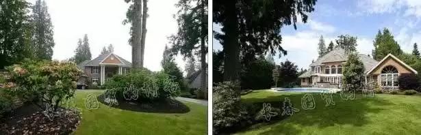 范冰冰包租婆,范冰冰包租公完整版