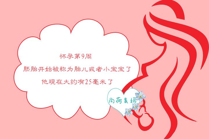 怀孕第9周，孕妈妈子宫大很多，胎宝宝变化很大，这些你都知道吗