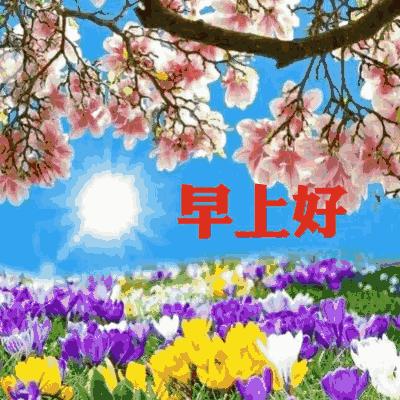 明日小满，送你好看的群聊动图，请收下