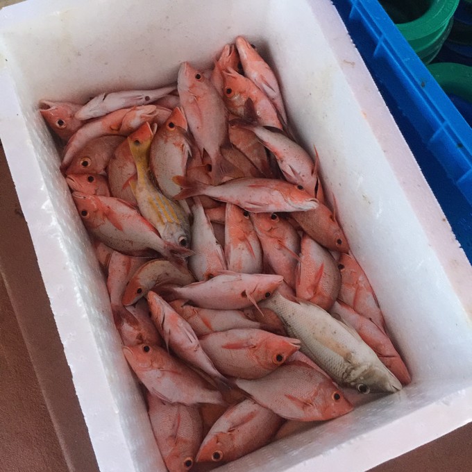 马代有毒，去过就停不下来~马尔代夫奥臻岛ozen